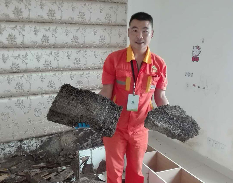 家庭白蟻消殺施工作業(yè)現(xiàn)場(chǎng)